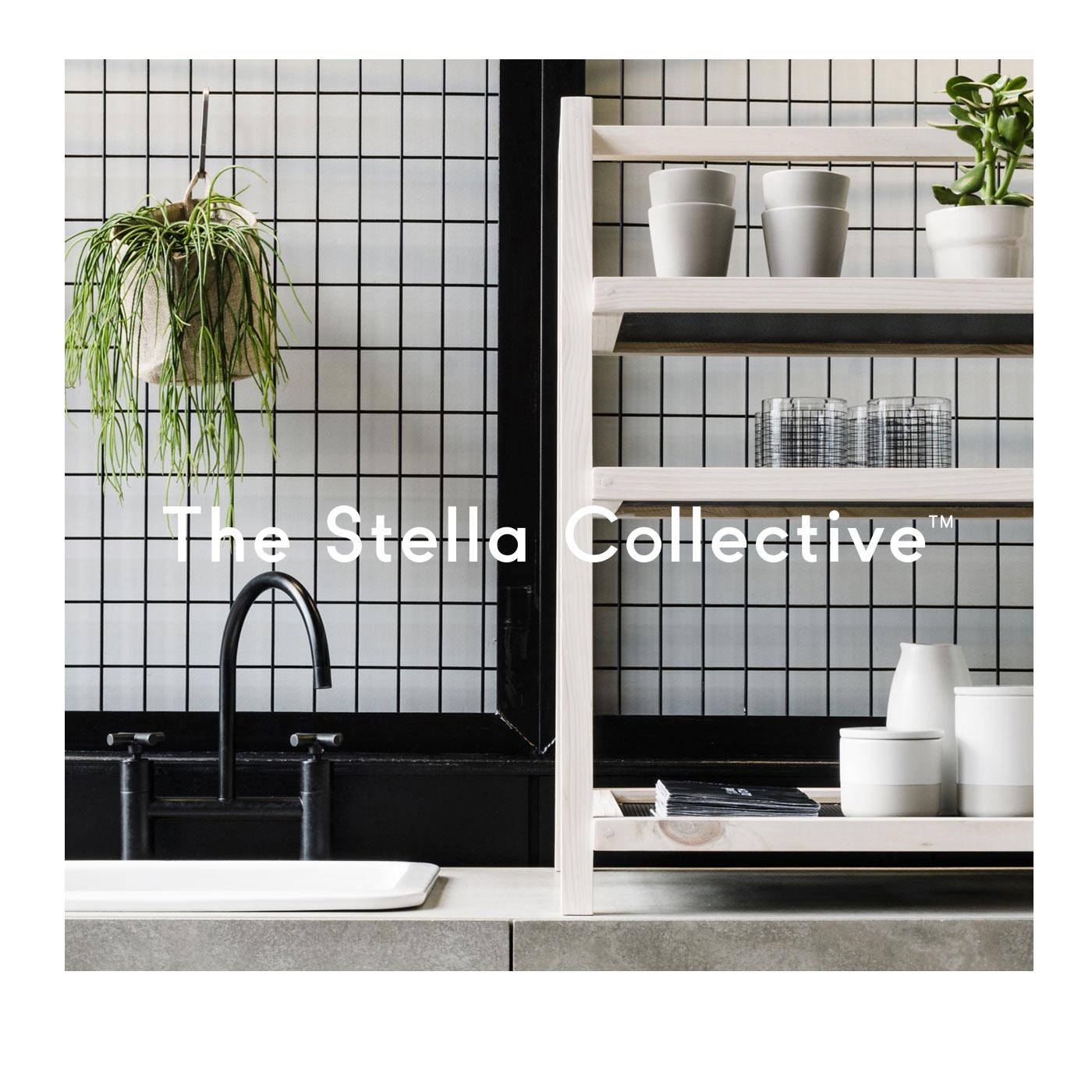 The Stella Collective