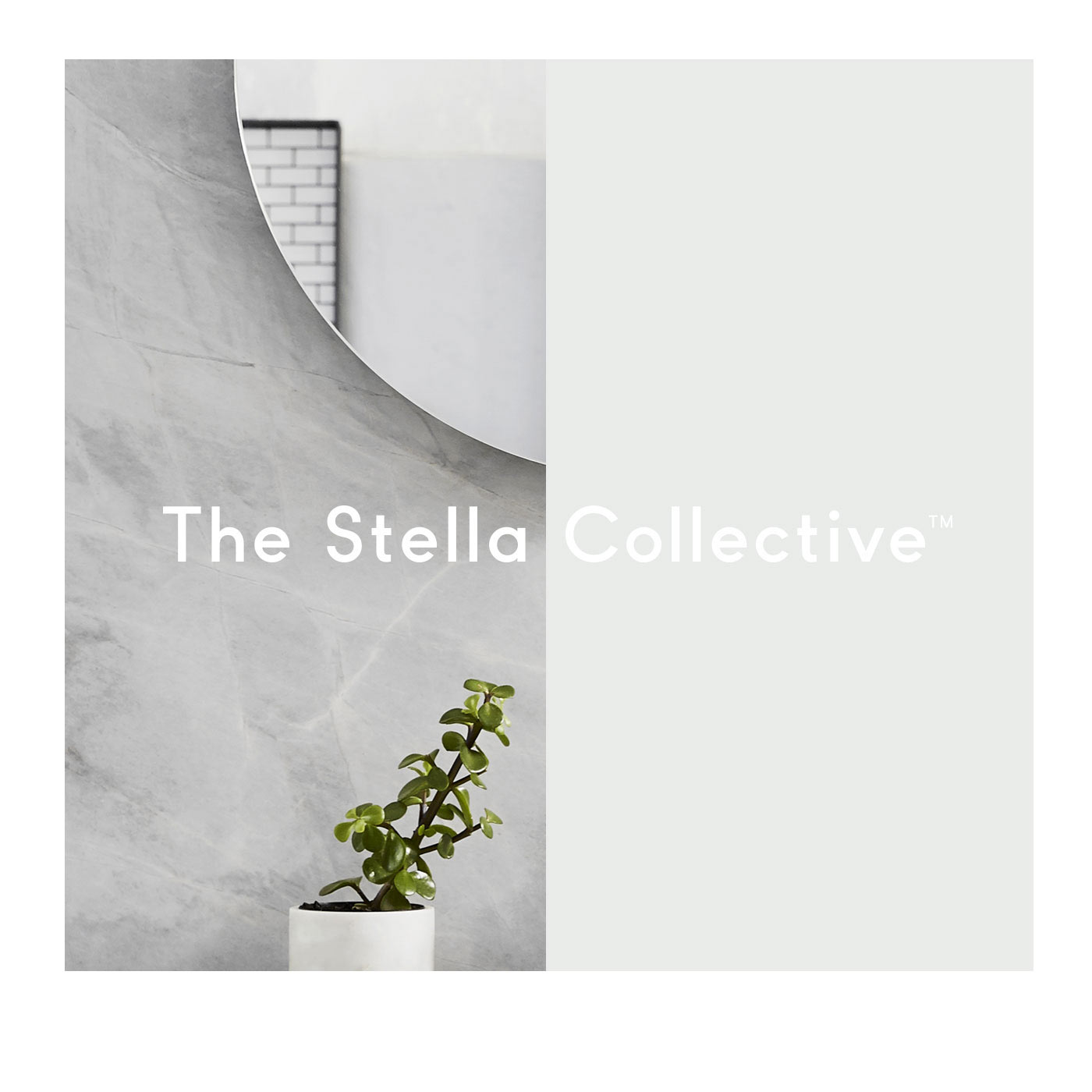 The Stella Collective
