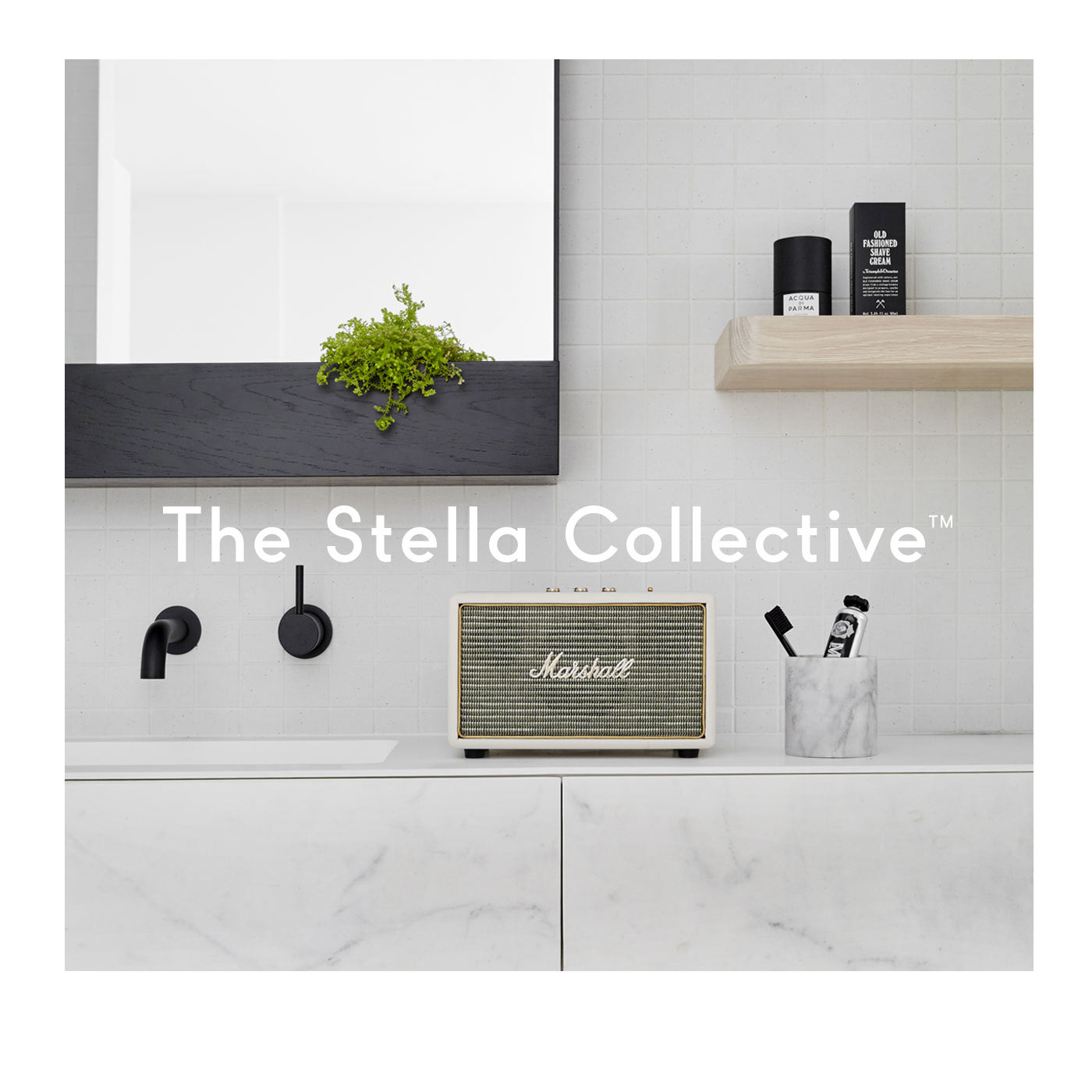 The Stella Collective